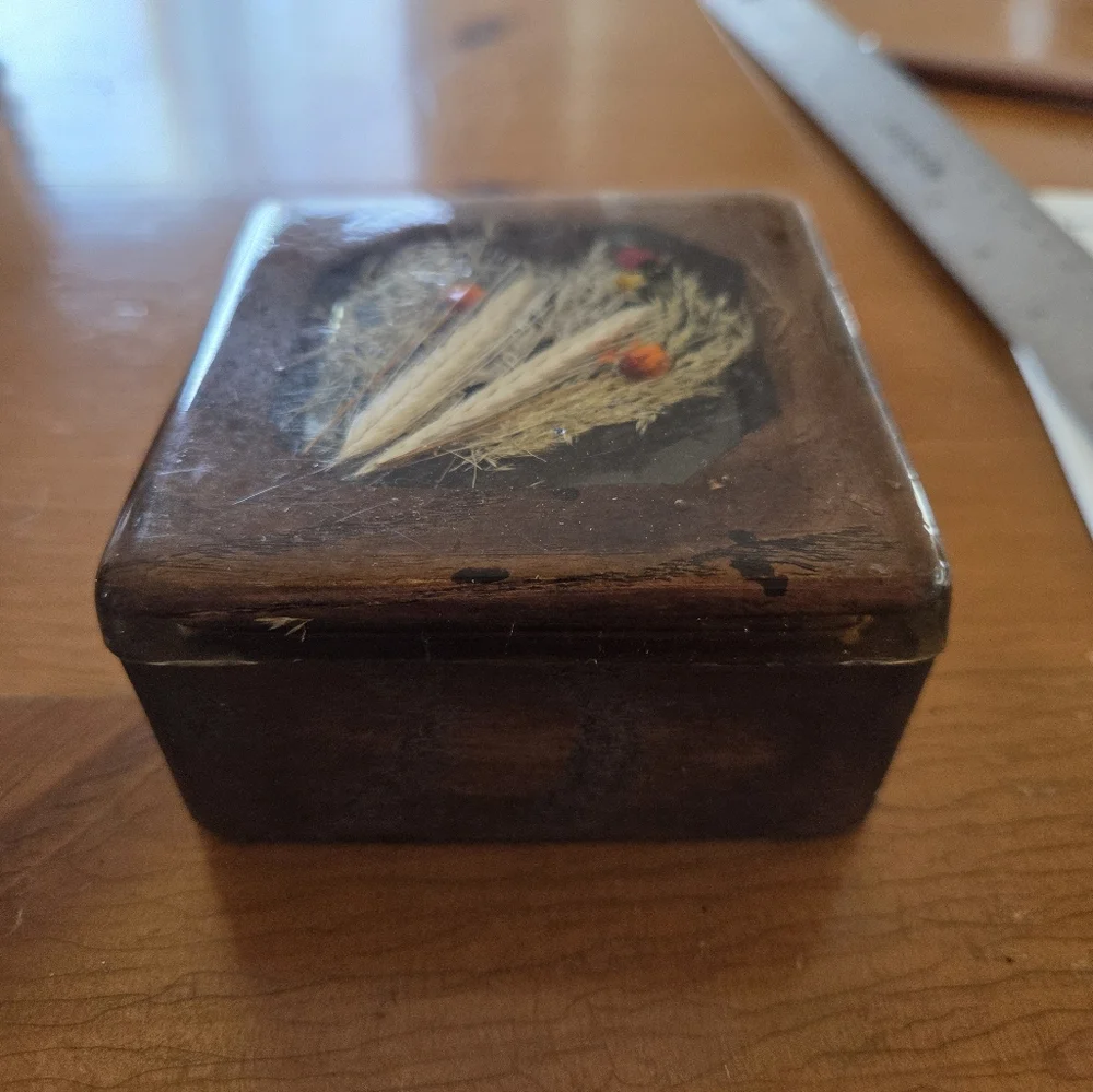 70s Wood Box With Resin Top That Has Dried Flowers And A Lady Bug